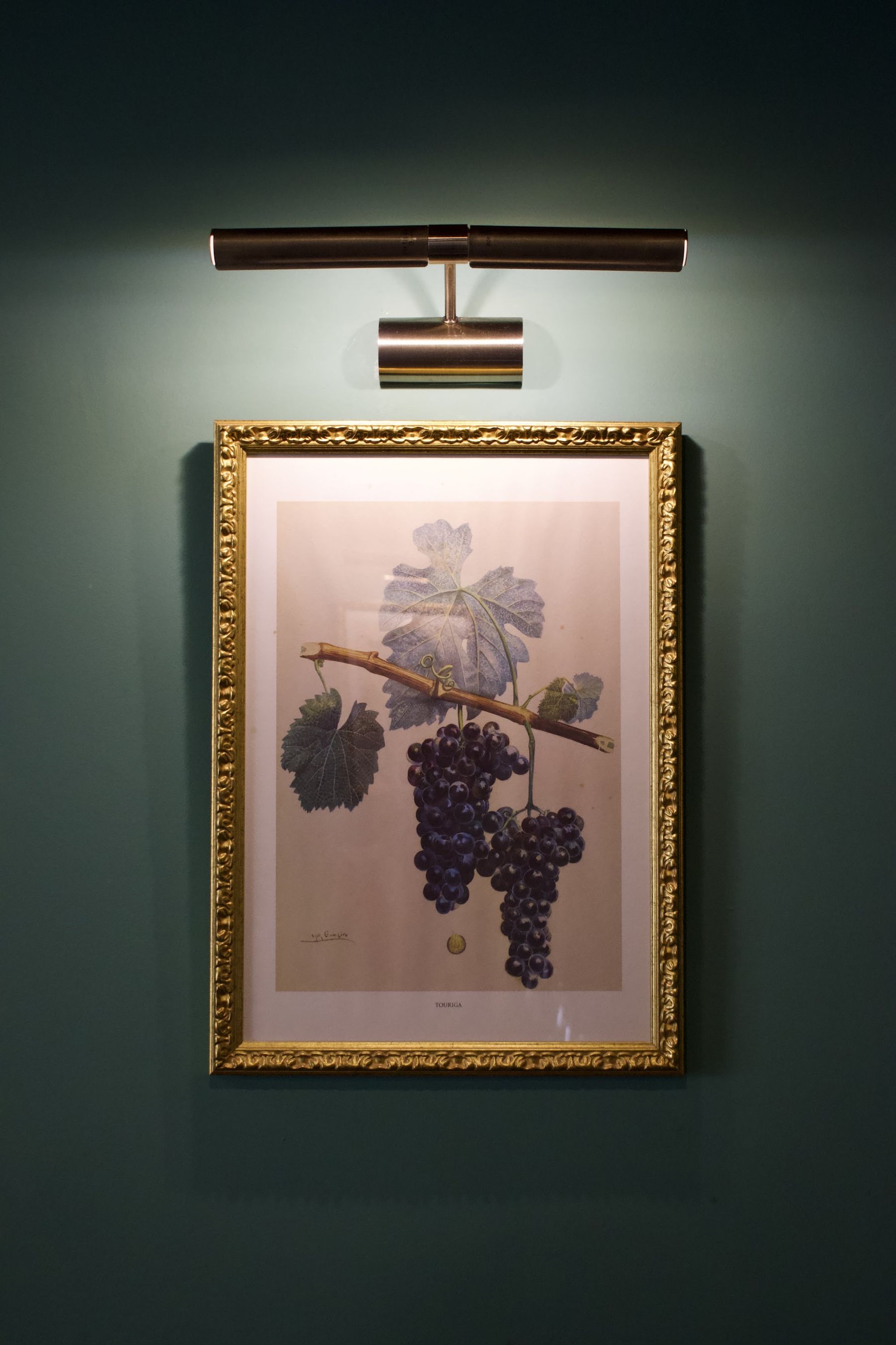 Gravura de cacho de uvas emoldurada na parede verde